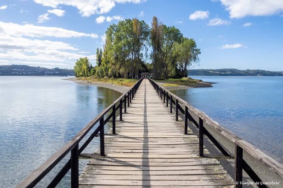 Pasarela de madera en Parque Tantauco, Chiloé