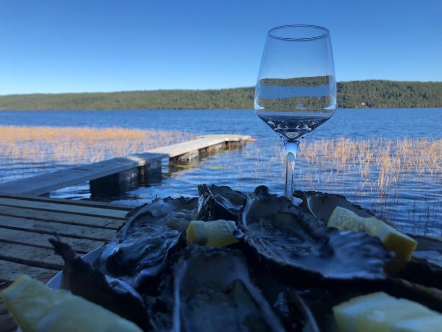Ostras y copa de vino frente al lago